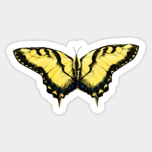 Western Tiger Swallowtail Butterfly Sticker